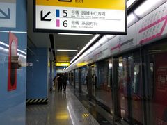 -大龙山(地铁站)