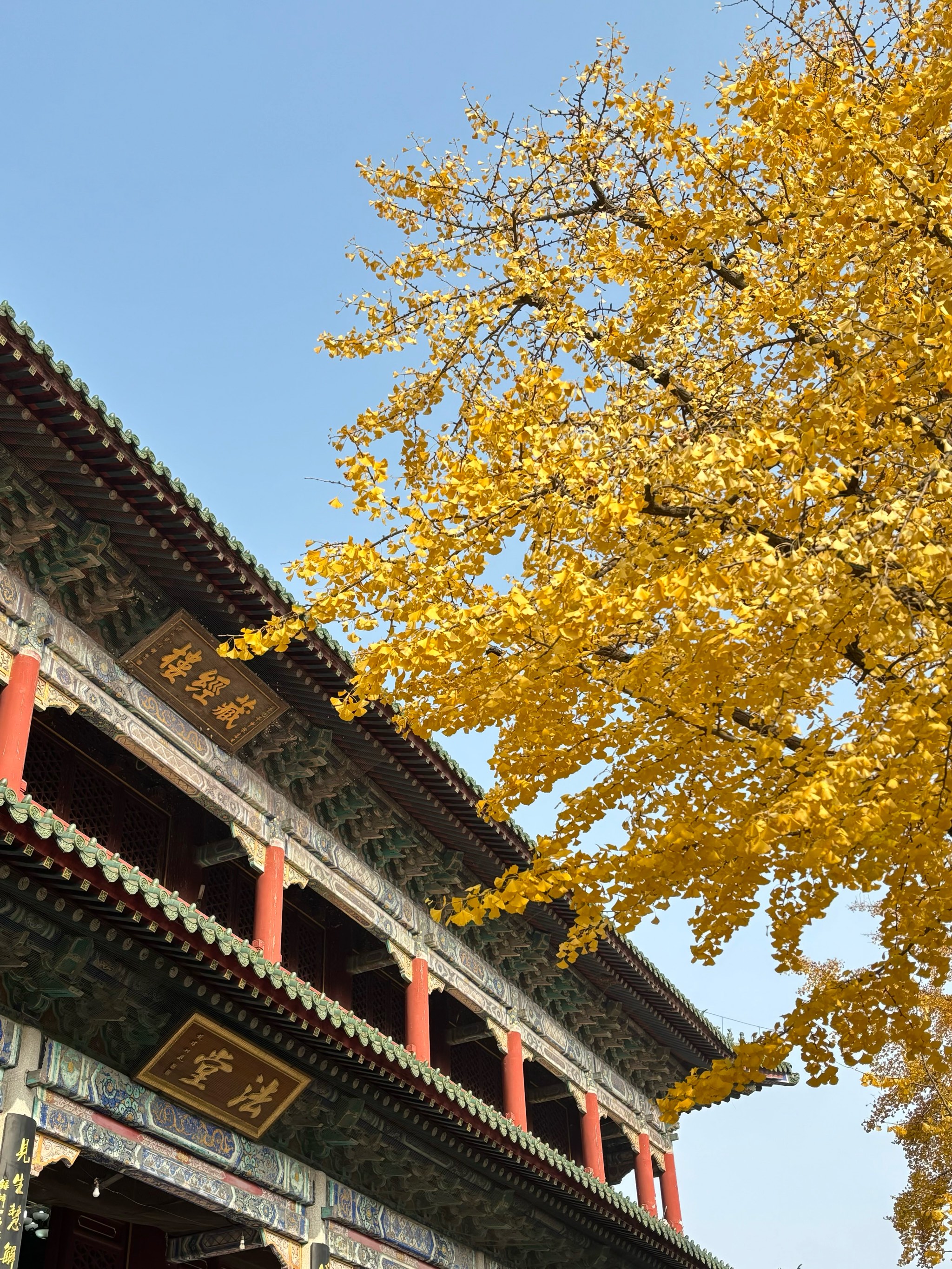 青岛寺庙湛山寺图片