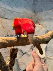 -Zoolung Zoolung动物主题公园(海信广场店)