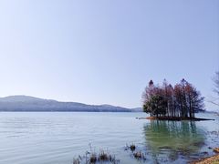 -水上明月·湖景餐厅