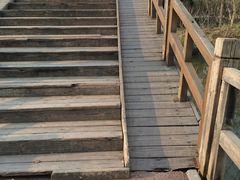 -白鹭湾湿地公园