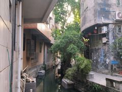 -小洲村