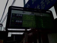 -小洲村