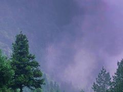 -重庆睡佛山森林公园
