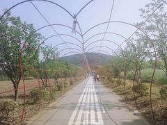-苏州太湖西山岛开心农场