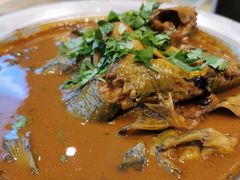 嘎鱼炖豆腐-怀来印象