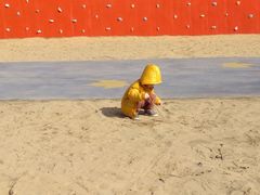 -春花秋色城市公园