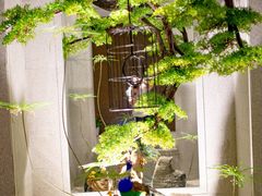 -东吴水韵(吴中店)