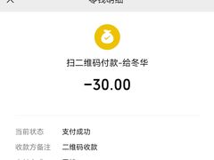 -胖子鸡排(循礼门老字号店)