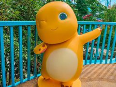 -杭州浪浪浪水公园