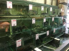 水产区-祈胜邨•顺德鱼生•顺德菜(容桂店)