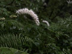 -秦岭风景区