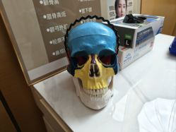 -颜和骨正&明星徒手小颜整骨