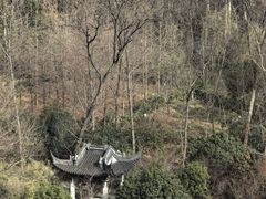 -南京东郊国宾馆