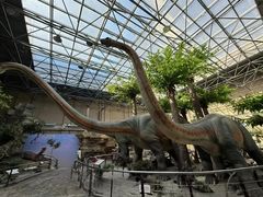 -国家自然博物馆