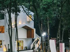 -龙坞茶村