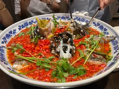 -湘潭九龙鱼头店(城南西路店)