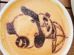 -轩客会(熊猫书店)