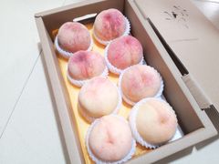 -老袁家蜜桃农场·阳山水蜜桃