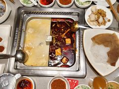 -海底捞火锅(赛格国际购物中心店)