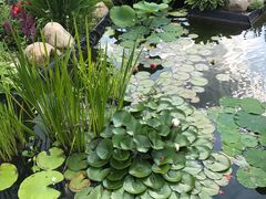 -长春公园(普阳街道)