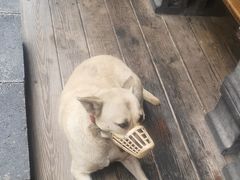 -甘味食堂(素食料理/蔬食料理/恆春美食)