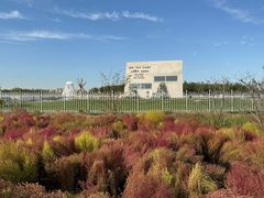 -天津东丽湖风景区