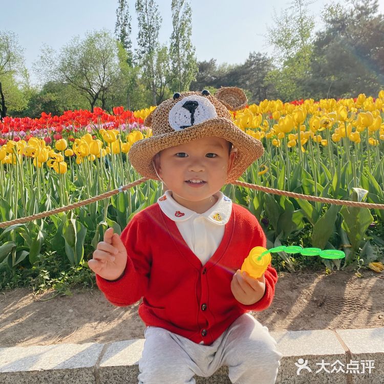 10块钱的遛娃好去处～