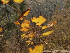 -阳台山自然风景区