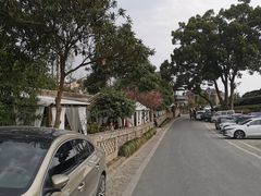 -龙坞茶村