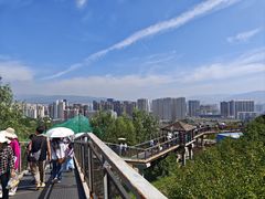 -青藏高原野生动物园