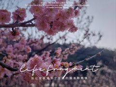 -无锡梅园公园