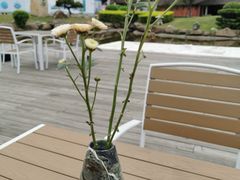 -惠和石文化园