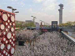 -北京奥林匹克公园