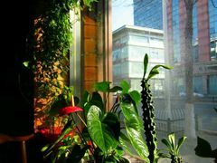 -严记小天府酸菜鱼(西四路店)