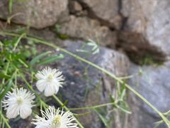 -百里山水画廊乌龙峡谷