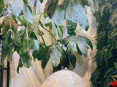 -宫七SPA·高端Massage(浦东大道店)