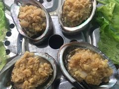 鲍鱼-蚝专家