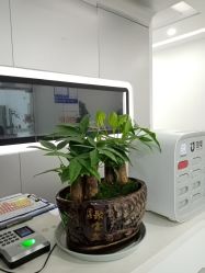 点击看大图 -悟空祛痘·亚健康皮肤管理中心