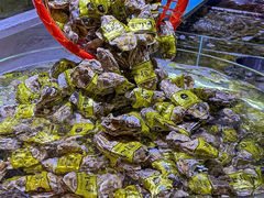 -聚盛源蒸汽海鲜火锅烤肉自助(巨川金海岸购物广场店)