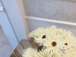 点击看大图 -YESIDO椰岛美容