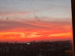 -顽啤熊·酒客酒馆(苏城夜景必选店)