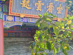 -西安大兴善寺