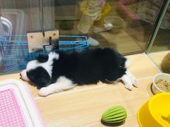 -山崎面包(苏州中心店)