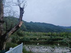 -沣峪口