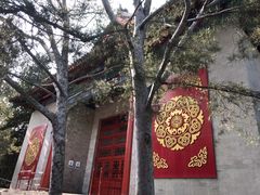 -中央民族大学