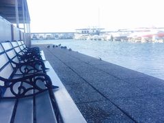 -胡佛水坝