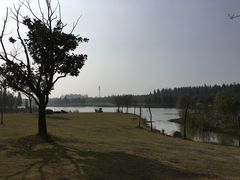 -东平国家森林公园