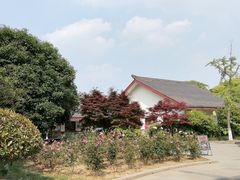 -尚湖风景区