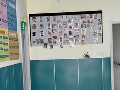 -乖乖宠物医院·猫科·急重症中心(车站北路分院)